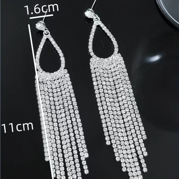 Rhinestone and Silver Tassel Dangle Earrings - Picture 3 of 3